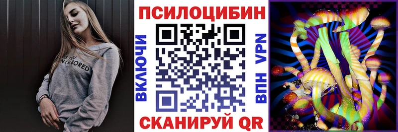 Псилоцибиновые грибы Psilocybe Иннополис